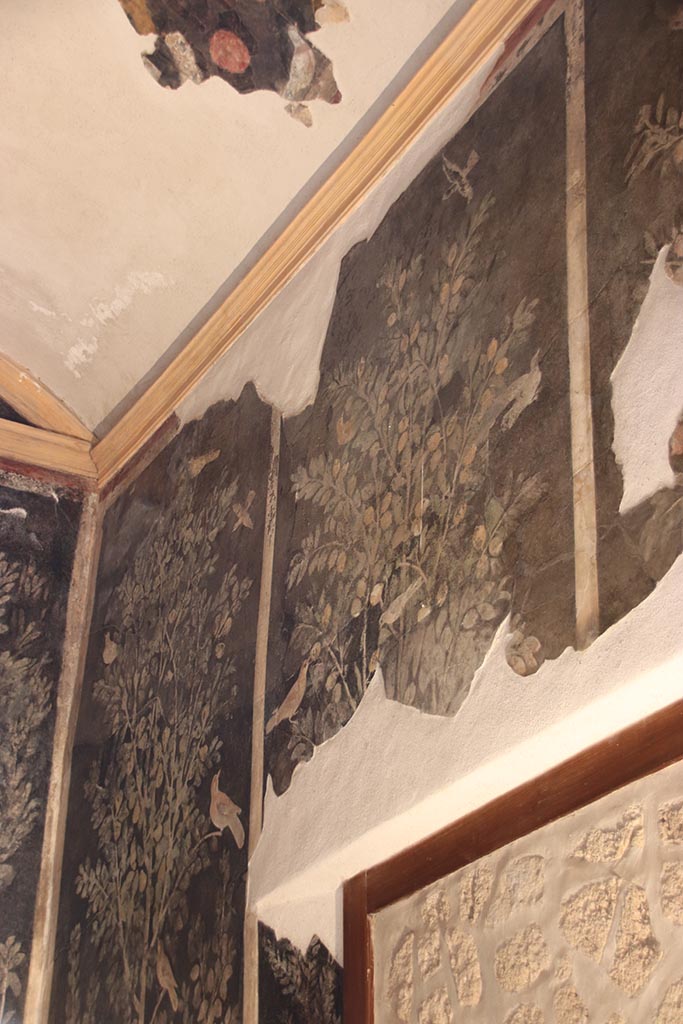 I.9.5 Pompeii. October 2024.
Room 11, upper south wall in south-east corner, with garden painting of birds in a pear tree.
Photo courtesy of Klaus Heese