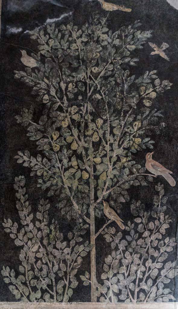 I.9.5 Pompeii. April 2022.
Room 11, upper painted panel of birds in tree from south wall in south-east corner.
Photo courtesy of Johannes Eber.
