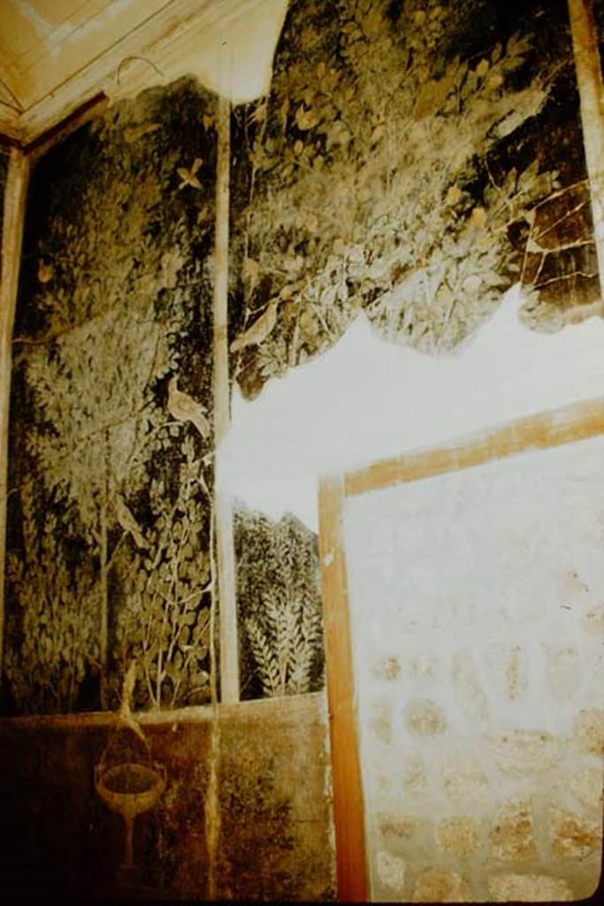 1.9.5 Pompeii. 1957. Room 11, south wall in south-east corner. Photo by Stanley A. Jashemski.
Source: The Wilhelmina and Stanley A. Jashemski archive in the University of Maryland Library, Special Collections (See collection page) and made available under the Creative Commons Attribution-Non-Commercial License v.4. See Licence and use details.
J57f0222