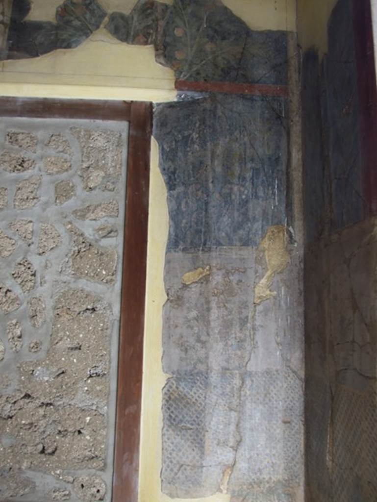 I.9.5 Pompeii. March 2009. Room 11. Cubiculum. South west corner. Garden painting.