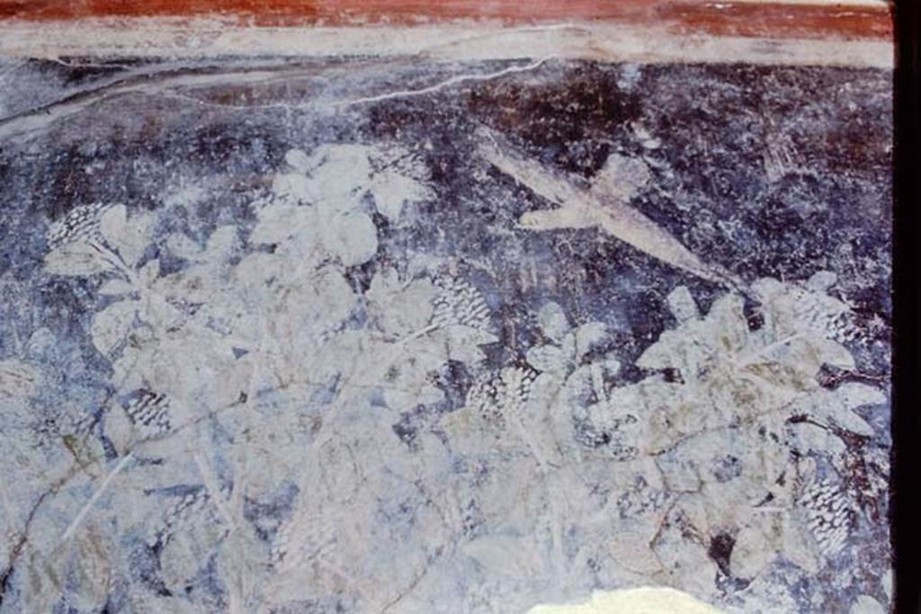 1.9.5 Pompeii. 1968. Room 11, upper west wall above doorway. Photo by Stanley A. Jashemski.
Source: The Wilhelmina and Stanley A. Jashemski archive in the University of Maryland Library, Special Collections (See collection page) and made available under the Creative Commons Attribution-Non Commercial License v.4. See Licence and use details.
J68f2012