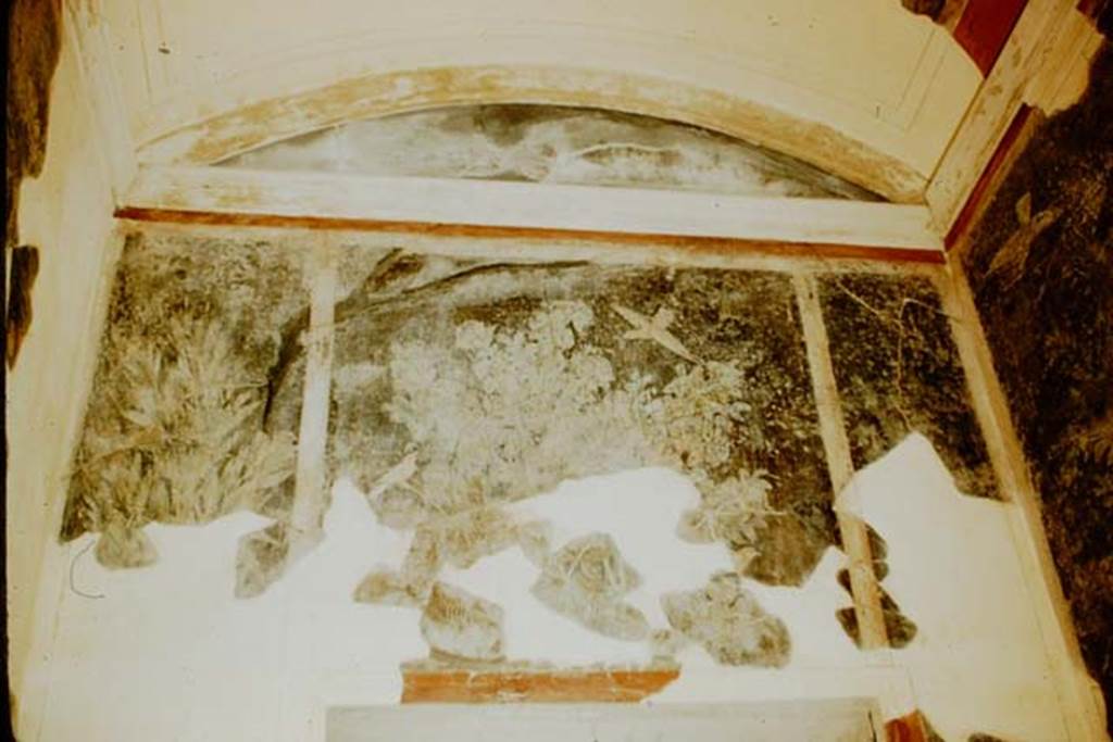 1.9.5 Pompeii. 1957. Room 11, upper west wall. Photo by Stanley A. Jashemski.
Source: The Wilhelmina and Stanley A. Jashemski archive in the University of Maryland Library, Special Collections (See collection page) and made available under the Creative Commons Attribution-Non Commercial License v.4. See Licence and use details.
J57f0226