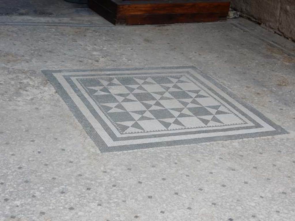 I.9.5 Pompeii. May 2017. Room 8, detail of flooring in tablinum. Photo courtesy of Buzz Ferebee.

