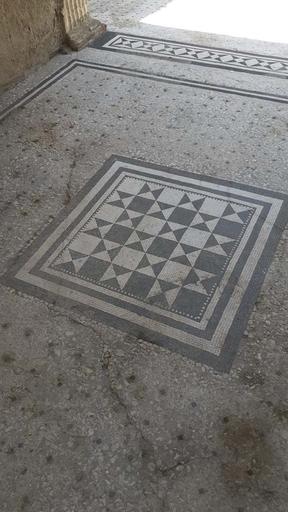 I.9.5 Pompeii. July 2021. 
Room 8, detail of flooring in tablinum. Photo courtesy of Davide Peluso.
