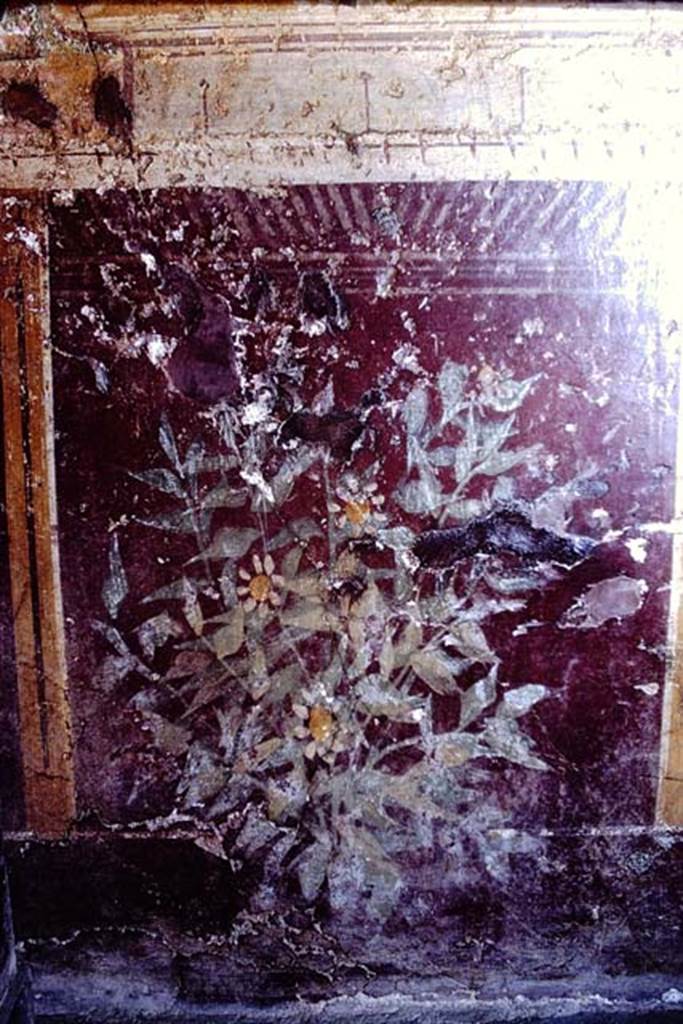 I.10.4 Pompeii. 1966. Room 19, plant on zoccolo (dado) of room on south end of east side. Photo by Stanley A. Jashemski.
Source: The Wilhelmina and Stanley A. Jashemski archive in the University of Maryland Library, Special Collections (See collection page) and made available under the Creative Commons Attribution-Non Commercial License v.4. See Licence and use details. J66f0481