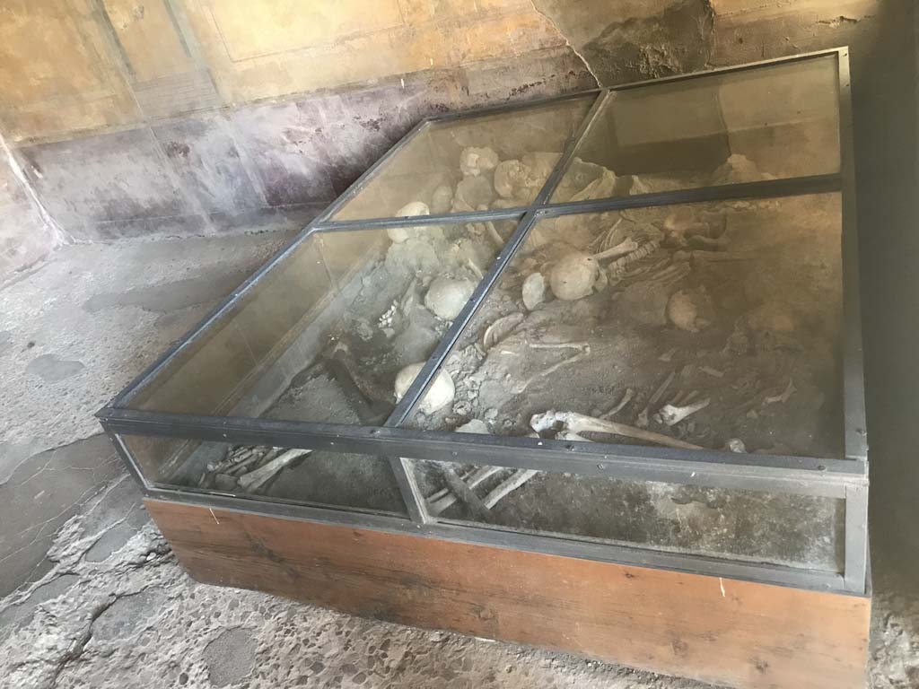 I.10.4 Pompeii. April 2019. Room 19, looking south across glass display case, from doorway.
Photo courtesy of Rick Bauer.