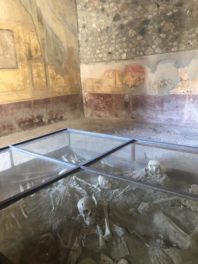 I.10.4 Pompeii. April 2019. Room 19, looking across glass case towards north-east corner.
Photo courtesy of Rick Bauer.
