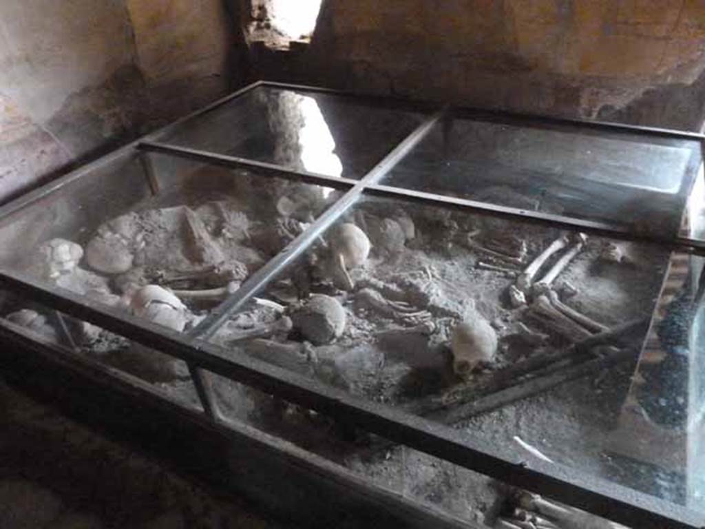 1.10.4 Pompeii. May 2010. Room 19, glass case with remains of bones of fugitives. Originally three skeletons were found in room 19 on 29th April 1931 near to the doorway to the peristyle at ground level. Maiuri identified them as two adults and one juvenile. These skeletons were removed. Found with them were a mattock and a pick-axe, perhaps used to make the holes in the south and west walls to help them escape.
These tools can be seen in the glass case but with reconstructed wooden handles. The other skeletons, approximately ten of them, were found a few days later above the corridor P1. They were found 2.5 metres above the ground. They seemed to have fallen from an upper floor, one on top of another, so their bones were intermingled. All of these bones from corridor P1 were collected and moved to Room 19 for display in the glass case. Some of the bones, not needed for the display, can still be seen in a pit in the lower right corner of the photo.
See Lazer, E. 2009. Resurrecting Pompeii, London & New York: Routledge, (p. 10-14)
See Lazer, E: Resti umani scheletrici nella Casa del Menandro, in Menander, La Casa del Menandro di Pompei. Edited by G. Stefani. Milan: Electa, 2003 (p. 64-69).