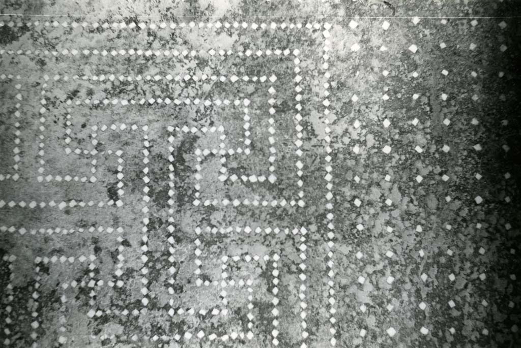 I.10.4 Pompeii. 1972. House of Menander, room under triclinium, detail of floor. Photo courtesy of Anne Laidlaw.
American Academy in Rome, Photographic Archive. Laidlaw collection _P_72_8_3.