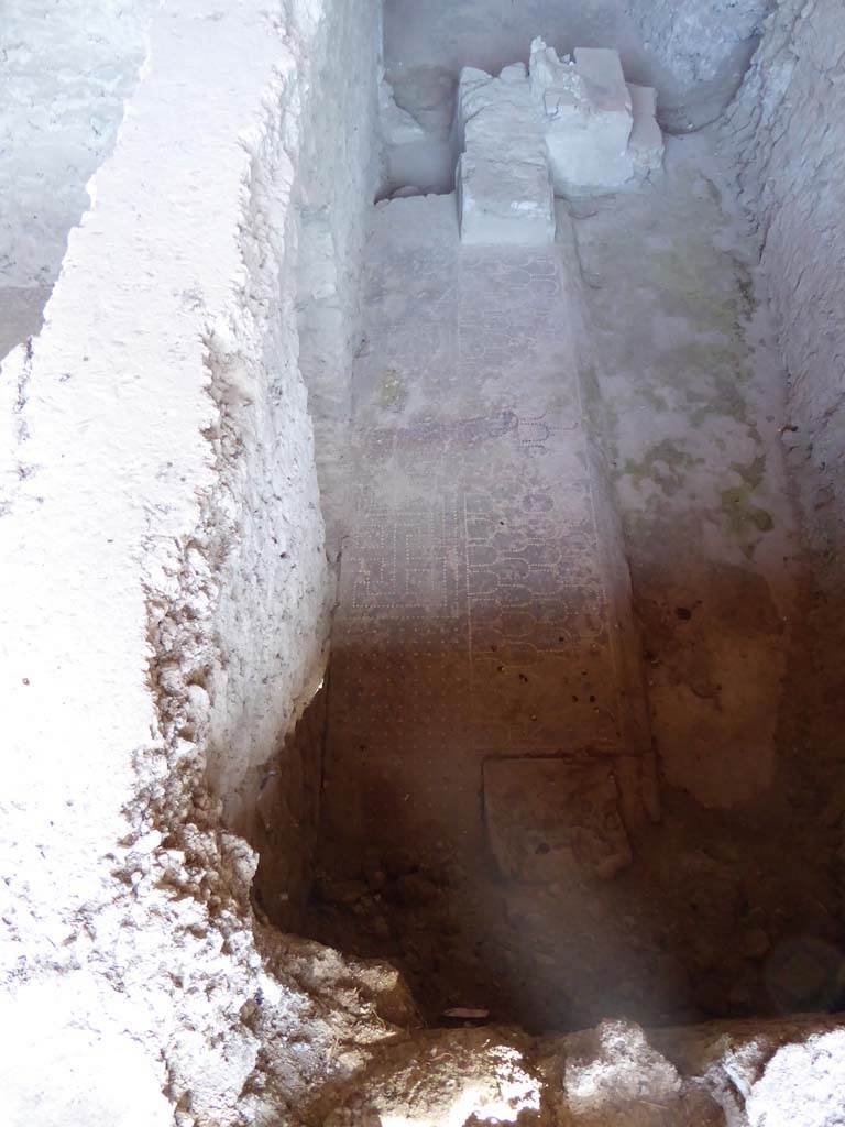 I.10.4 Pompeii. September 2018. Room 18, detail of flooring in room below floor level.
Foto Annette Haug, ERC Grant 681269 DÉCOR.