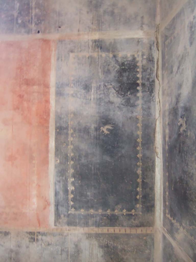 I.10.4 Pompeii. May 2006. Room 17, north wall with painting of swan in north-east corner.
On the right is the east wall, with another painting of a winged horse in its panel at its north end.