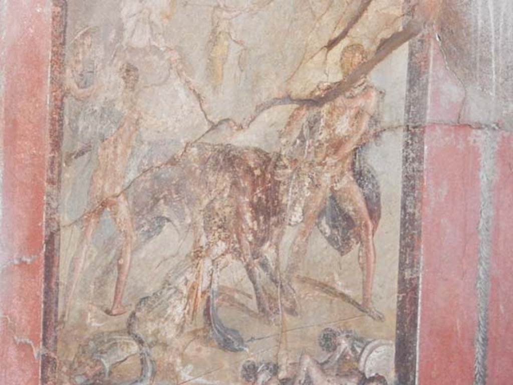 I.10.4 Pompeii. May 2015. Room 15, south wall. Detail from wall painting of the Punishment of Dirce. Photo courtesy of Buzz Ferebee.