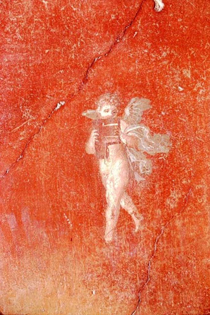 I.10.4 Pompeii, 1968. Room 4, north wall on east side of central painting in middle of red panel. Flying cupid with pan-pipe. Photo by Stanley A. Jashemski.
Source: The Wilhelmina and Stanley A. Jashemski archive in the University of Maryland Library, Special Collections (See collection page) and made available under the Creative Commons Attribution-Non Commercial License v.4. See Licence and use details. J68f2047