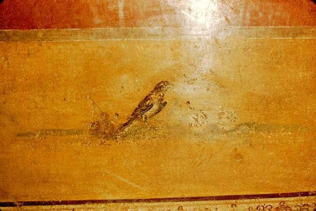 I.10.4 Pompeii. 1957. Atrium, east wall in south-east corner, painting of bird with cherries.
Photo by Stanley A. Jashemski.
Source: The Wilhelmina and Stanley A. Jashemski archive in the University of Maryland Library, Special Collections (See collection page) and made available under the Creative Commons Attribution-Non Commercial License v.4. See Licence and use details.
J57f0495