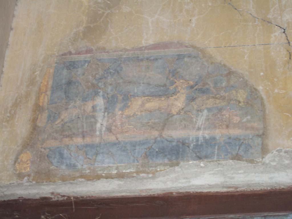 I.10.4 Pompeii. May 2006. Atrium, on the south wall above doorway to corridor 9. Painting of a dog chasing a deer.
See Ling, R, La Casa del Menandro, in Menander, La Casa del Menandro di Pompei. Edited by G. Stefani. Milan: Electa, 2003 (p. 41).