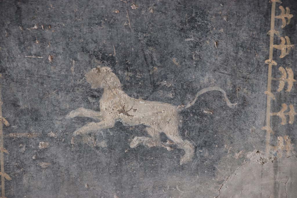 I.10.4 Pompeii. September 2021.
Room 8, detail of painted panther from middle of zoccolo on east wall of tablinum. Photo courtesy of Klaus Heese.