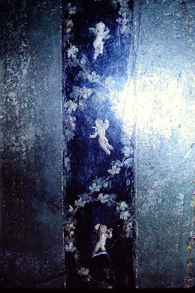 1.10.4 Pompeii. 1966. Room 11, detail from north wall. Photo by Stanley A. Jashemski.
Source: The Wilhelmina and Stanley A. Jashemski archive in the University of Maryland Library, Special Collections (See collection page) and made available under the Creative Commons Attribution-Non Commercial License v.4. See Licence and use details.
J66f0391