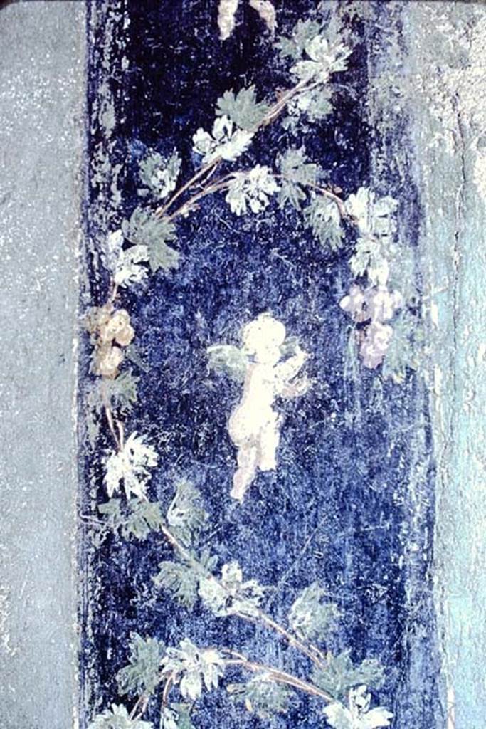 1.10.4 Pompeii. 1968. Room 11, detail from north wall. Photo by Stanley A. Jashemski.
Source: The Wilhelmina and Stanley A. Jashemski archive in the University of Maryland Library, Special Collections (See collection page) and made available under the Creative Commons Attribution-Non Commercial License v.4. See Licence and use details.
J68f2042