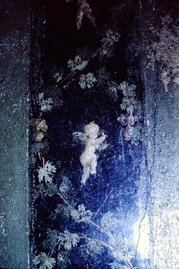 1.10.4 Pompeii. 1966. Room 11, detail from north wall. Photo by Stanley A. Jashemski.
Source: The Wilhelmina and Stanley A. Jashemski archive in the University of Maryland Library, Special Collections (See collection page) and made available under the Creative Commons Attribution-Non Commercial License v.4. See Licence and use details.
J66f0392