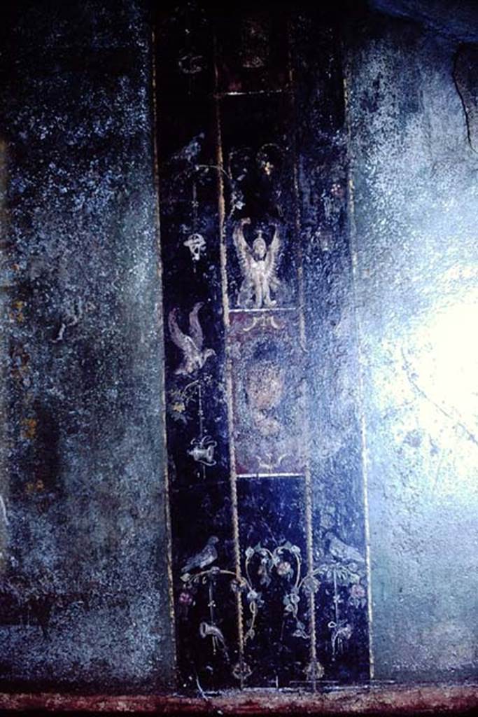 1.10.4 Pompeii. 1966. Room 11, detail from east wall. Photo by Stanley A. Jashemski.
Source: The Wilhelmina and Stanley A. Jashemski archive in the University of Maryland Library, Special Collections (See collection page) and made available under the Creative Commons Attribution-Non Commercial License v.4. See Licence and use details.
J66f0394