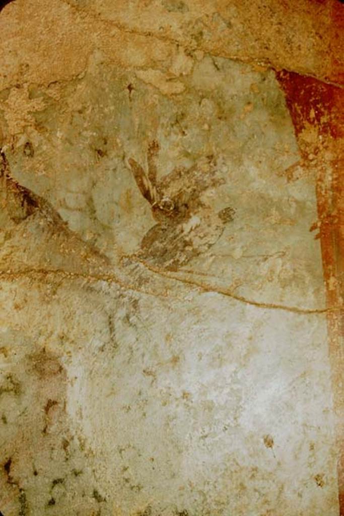 I.10.4 Pompeii. 1957. Alcove 25, detail from centre of south wall. Photo by Stanley A. Jashemski.
Source: The Wilhelmina and Stanley A. Jashemski archive in the University of Maryland Library, Special Collections (See collection page) and made available under the Creative Commons Attribution-Non Commercial License v.4. See Licence and use details. J57f0484