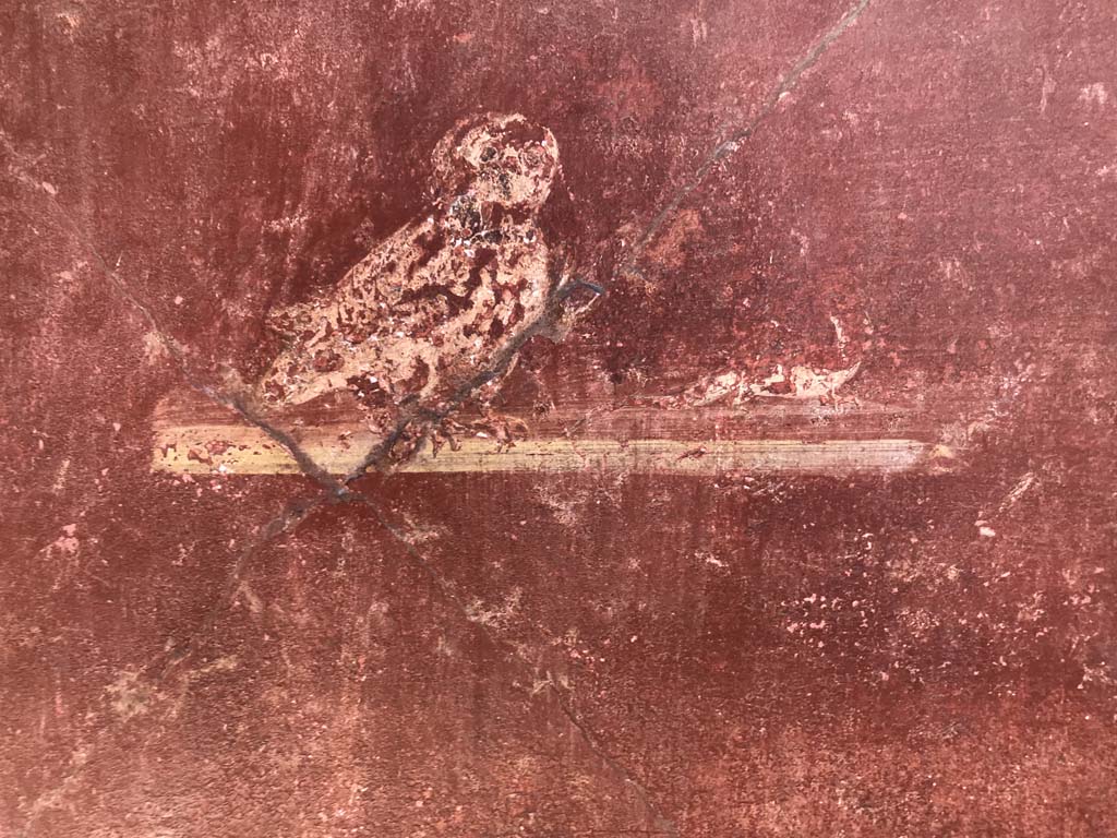 I.10.4 Pompeii. April 2019. Painting of bird from east side (left) of doorway to room 21 on south portico,
Photo courtesy of Rick Bauer.