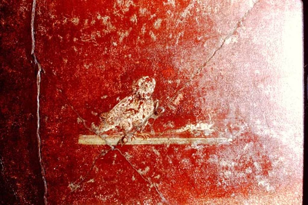 I.10.4 Pompeii. 1966. South side of peristyle on east side of doorway to room 21. Photo by Stanley A. Jashemski.
Source: The Wilhelmina and Stanley A. Jashemski archive in the University of Maryland Library, Special Collections (See collection page) and made available under the Creative Commons Attribution-Non Commercial License v.4. See Licence and use details. J66f0483