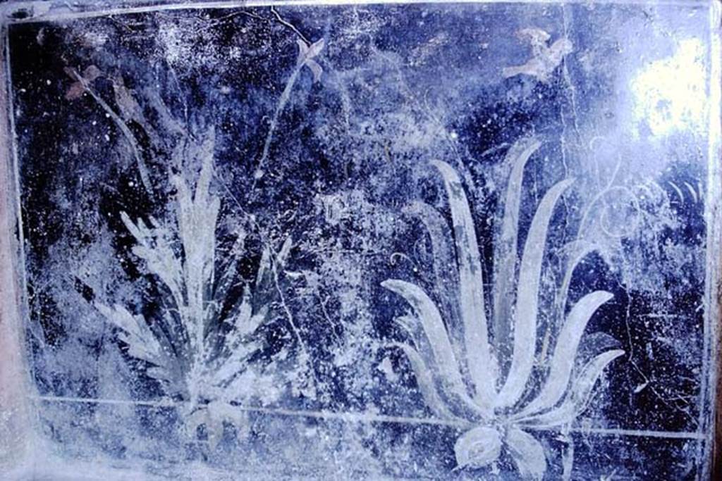 1.10.4 Pompeii. 1966. Painted garden from pluteus around the peristyle garden. Photo by Stanley A. Jashemski.
Source: The Wilhelmina and Stanley A. Jashemski archive in the University of Maryland Library, Special Collections (See collection page) and made available under the Creative Commons Attribution-Non Commercial License v.4. See Licence and use details.
J66f0480