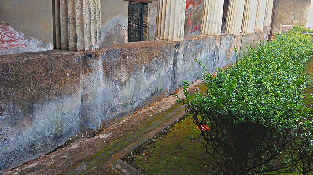 I.10.4 Pompeii. 2015/2016.
Looking north along gutter in garden near west portico with remains of painted pluteus. Photo courtesy of Giuseppe Ciaramella.