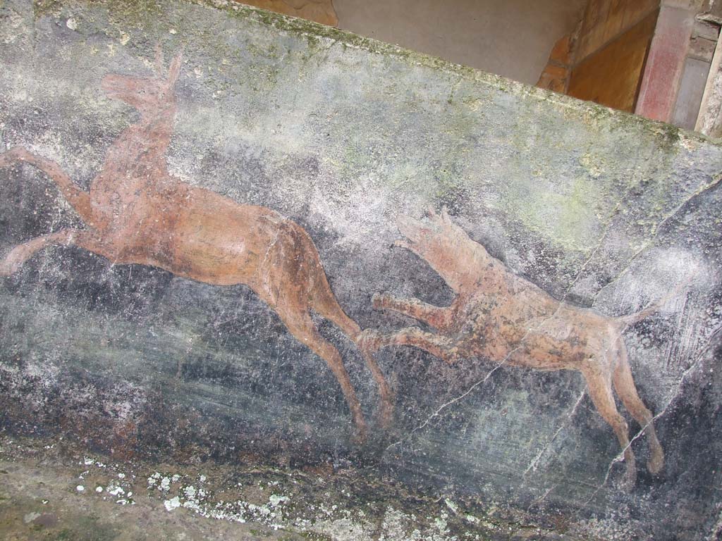 I.10.4 Pompeii. December 2006.
Peristyle garden, hunt painting on inside of painted pluteus of peristyle. A dog is chasing a fawn.
