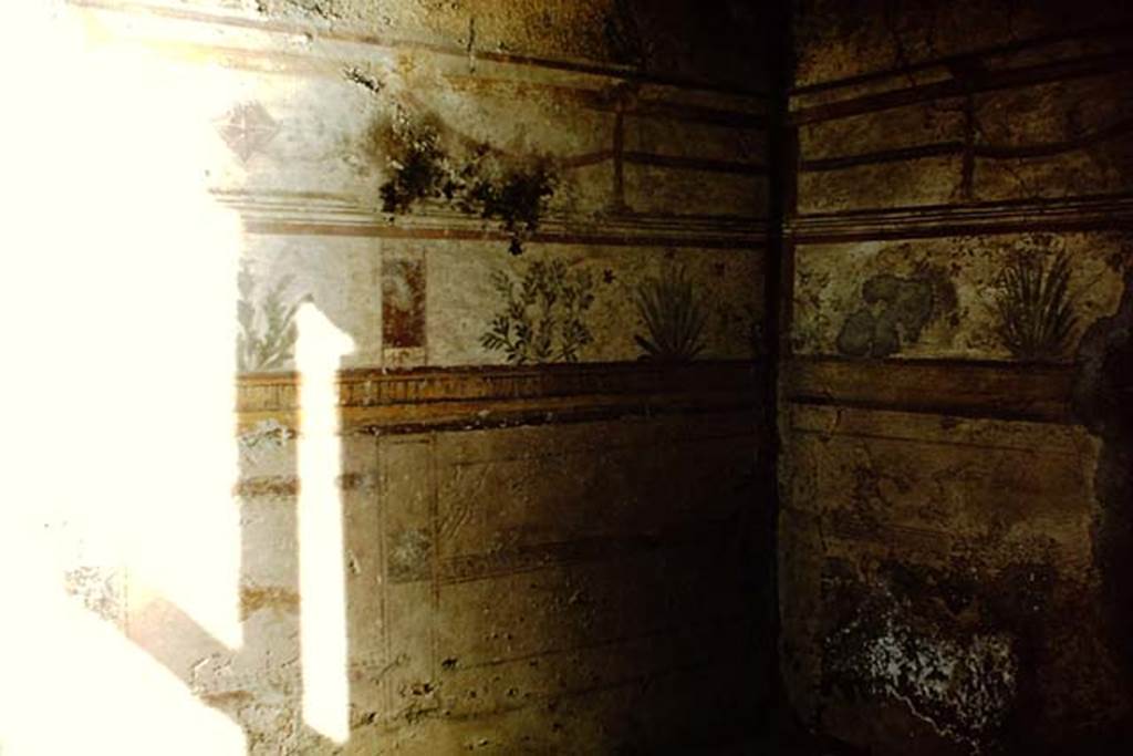 I.10.8 Pompeii. 1959. Room 8, south-east corner of tablinum with painted plant decorations.
Photo by Stanley A. Jashemski.
Source: The Wilhelmina and Stanley A. Jashemski archive in the University of Maryland Library, Special Collections (See collection page) and made available under the Creative Commons Attribution-Non Commercial License v.4. See Licence and use details.
J59f0189