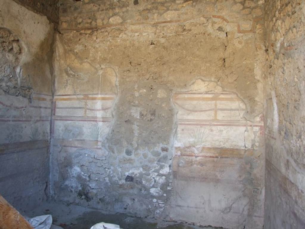 I.10.8 Pompeii. March 2009. Room 8. South wall.