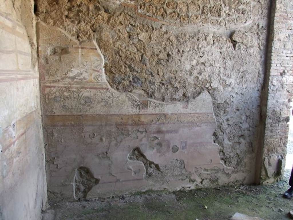 I.10.8 Pompeii. March 2009. Room 8. West wall.