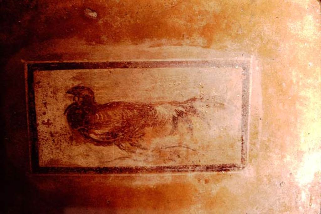 I.11.11 Pompeii. 1964. Painted panel from west wall. Photo by Stanley A. Jashemski.
Source: The Wilhelmina and Stanley A. Jashemski archive in the University of Maryland Library, Special Collections (See collection page) and made available under the Creative Commons Attribution-Non Commercial License v.4. See Licence and use details.
J64f1791