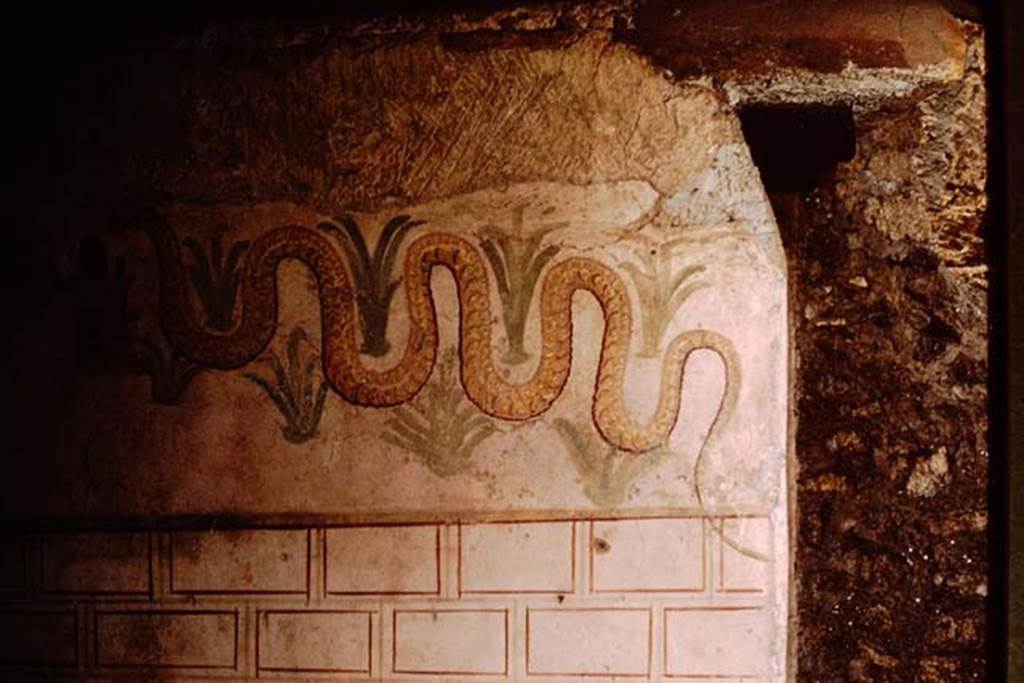 I.11.11 Pompeii. 1964. Detail of painted serpent. Photo by Stanley A. Jashemski.
Source: The Wilhelmina and Stanley A. Jashemski archive in the University of Maryland Library, Special Collections (See collection page) and made available under the Creative Commons Attribution-Non Commercial License v.4. See Licence and use details.
J64f1975