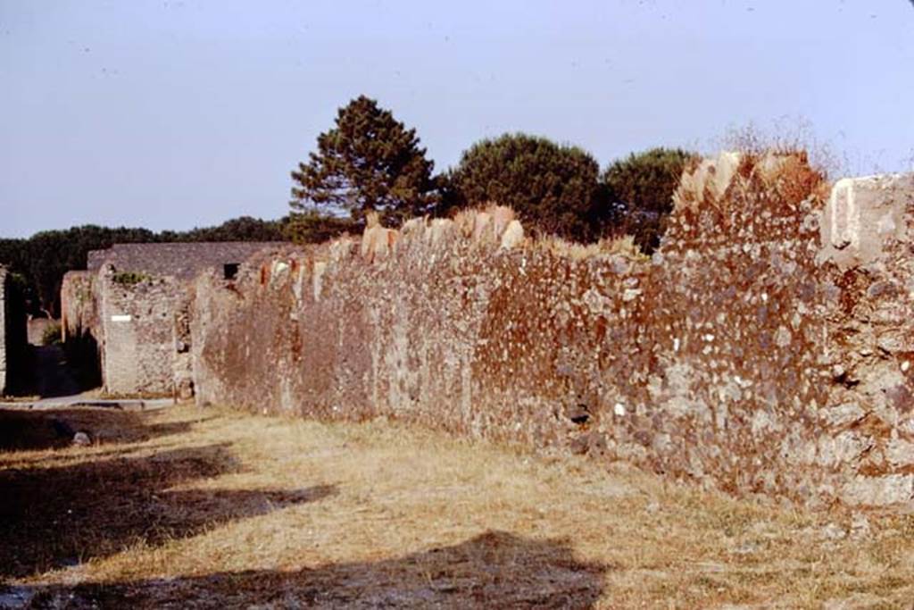 I.20.5 Pompeii, 1973. Looking east along exterior north wall in Via della Palestra. Note the addition of the limestone phallus, on the right. Photo by Stanley A. Jashemski.
Source: The Wilhelmina and Stanley A. Jashemski archive in the University of Maryland Library, Special Collections (See collection page) and made available under the Creative Commons Attribution-Non Commercial License v.4. See Licence and use details. J73f0203
