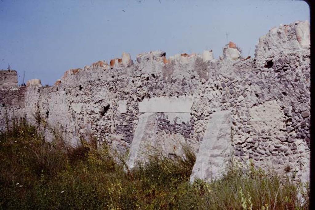 I.20.5 Pompeii. 1964. North interior wall with broken terracotta pots on top, to deter thieves. Photo by Stanley A. Jashemski.
Source: The Wilhelmina and Stanley A. Jashemski archive in the University of Maryland Library, Special Collections (See collection page) and made available under the Creative Commons Attribution-Non Commercial License v.4. See Licence and use details.
J64f1896