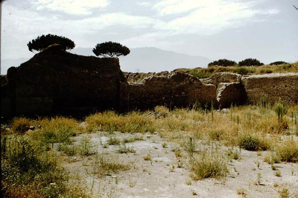 I.20.5 Pompeii. 1959. Looking south-west across the garden area.
Photo by Stanley A. Jashemski.
Source: The Wilhelmina and Stanley A. Jashemski archive in the University of Maryland Library, Special Collections (See collection page) and made available under the Creative Commons Attribution-Non Commercial License v.4. See Licence and use details.
J59f0497