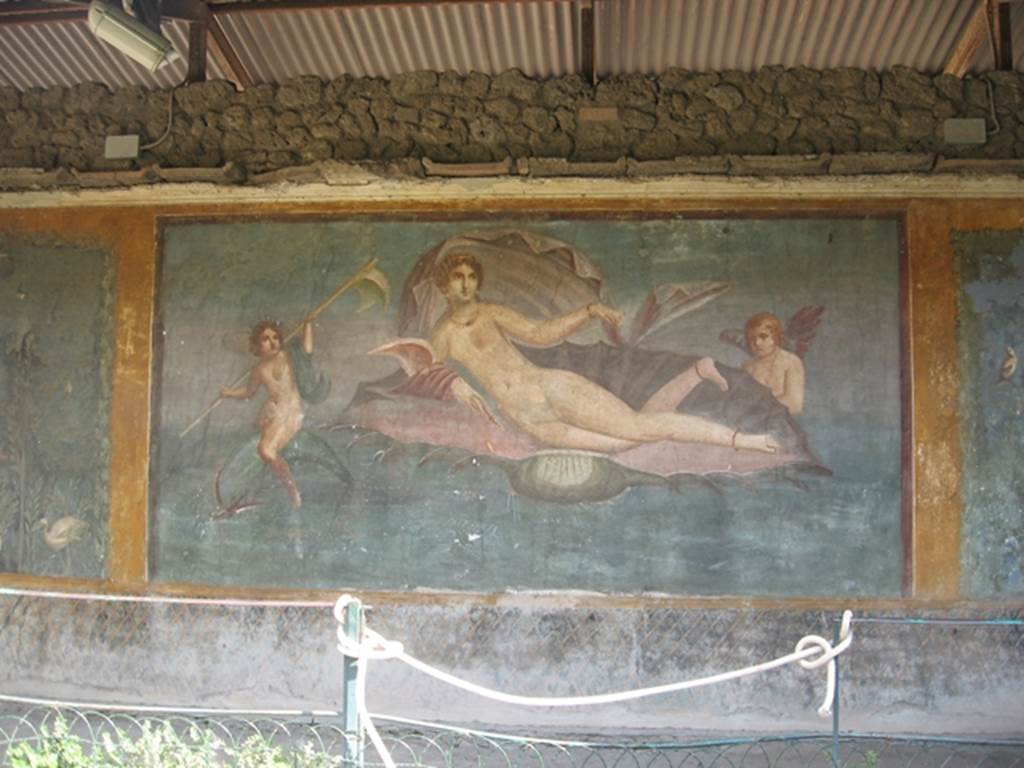 II.3.3 Pompeii. December 2006. Room 11, central panel on south wall of peristyle. Wall painting of Aphrodite / Venus in a shell. One amorini / cupid rides on a dolphin, the other is supporting the shell. Photograph courtesy of Kathryn Breen.