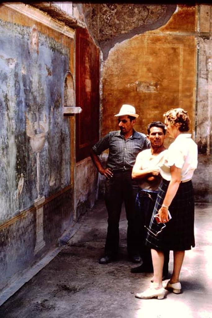 II.3.3 Pompeii. 1964. South-west corner of the garden. Photo by Stanley A. Jashemski.
Source: The Wilhelmina and Stanley A. Jashemski archive in the University of Maryland Library, Special Collections (See collection page) and made available under the Creative Commons Attribution-Non Commercial License v.4. See Licence and use details.
J64f1704