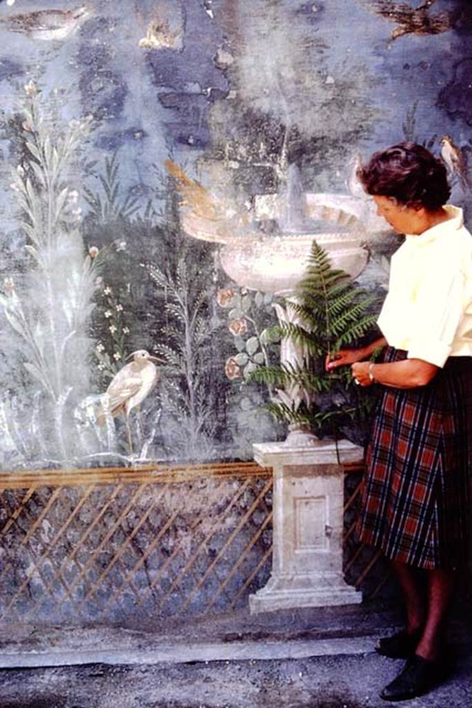 II.3.3 Pompeii. 1966. Room 11, west panel of south wall of peristyle. Wilhelmina studying a fern to identify it with the one in the painting. Photo by Stanley A. Jashemski.
Source: The Wilhelmina and Stanley A. Jashemski archive in the University of Maryland Library, Special Collections (See collection page) and made available under the Creative Commons Attribution-Non Commercial License v.4. See Licence and use details.
J66f0630
