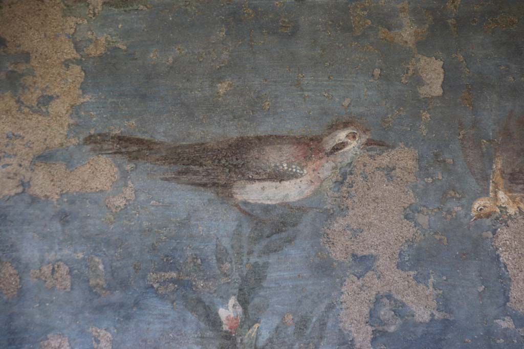 II.3.3 Pompeii. September 2017. Room 11, Room 11, birds from west panel of south wall of peristyle.
Photo courtesy of Klaus Heese.