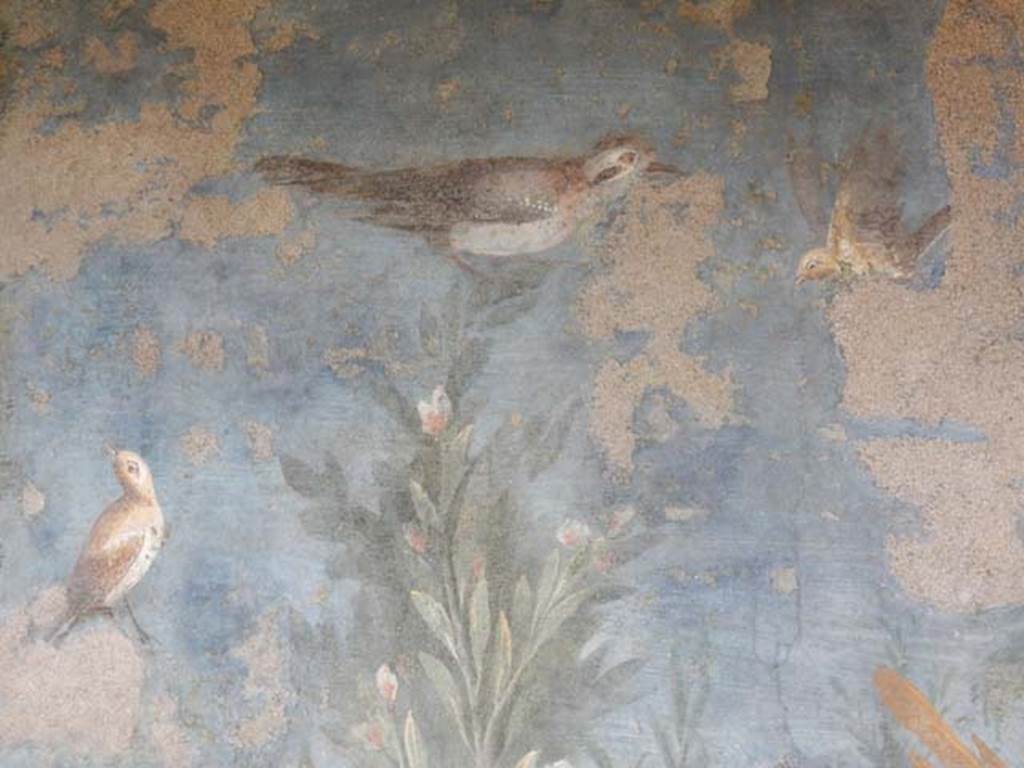 II.3.3 Pompeii. May 2016. Room 11, Room 11, birds on west panel of south wall of peristyle. Photo courtesy of Buzz Ferebee.