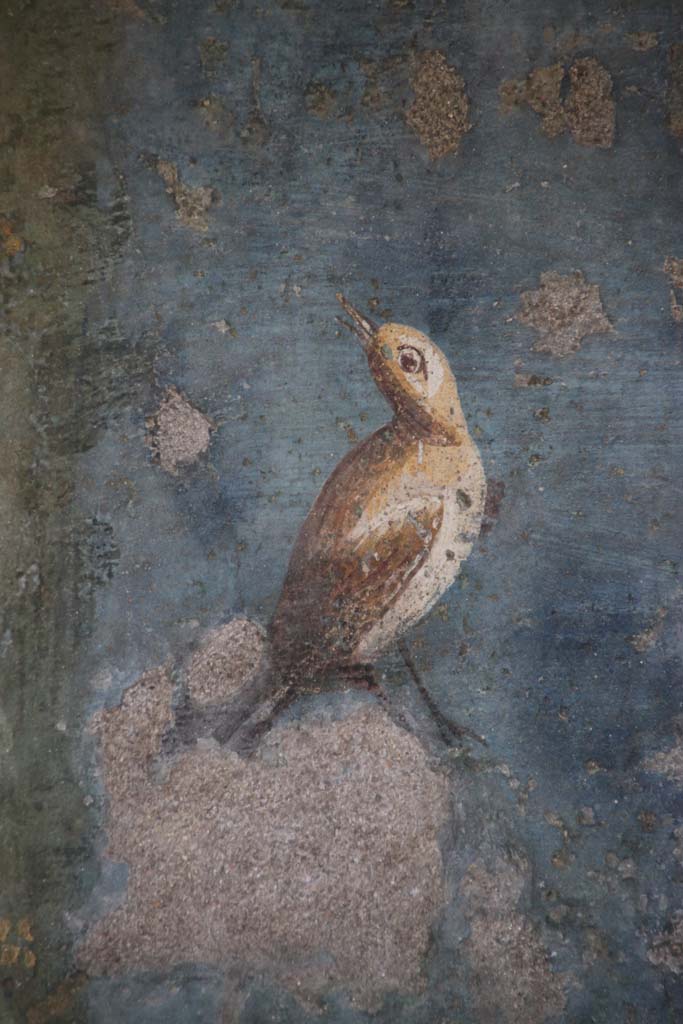 II.3.3 Pompeii. September 2017. Room 11, west panel of south wall of peristyle. Detail of wall painting of a bird.
Photo courtesy of Klaus Heese.