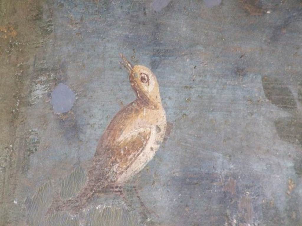 II.3.3 Pompeii. December 2006. Room 11, west panel of south wall of peristyle. Detail of wall painting of a bird.