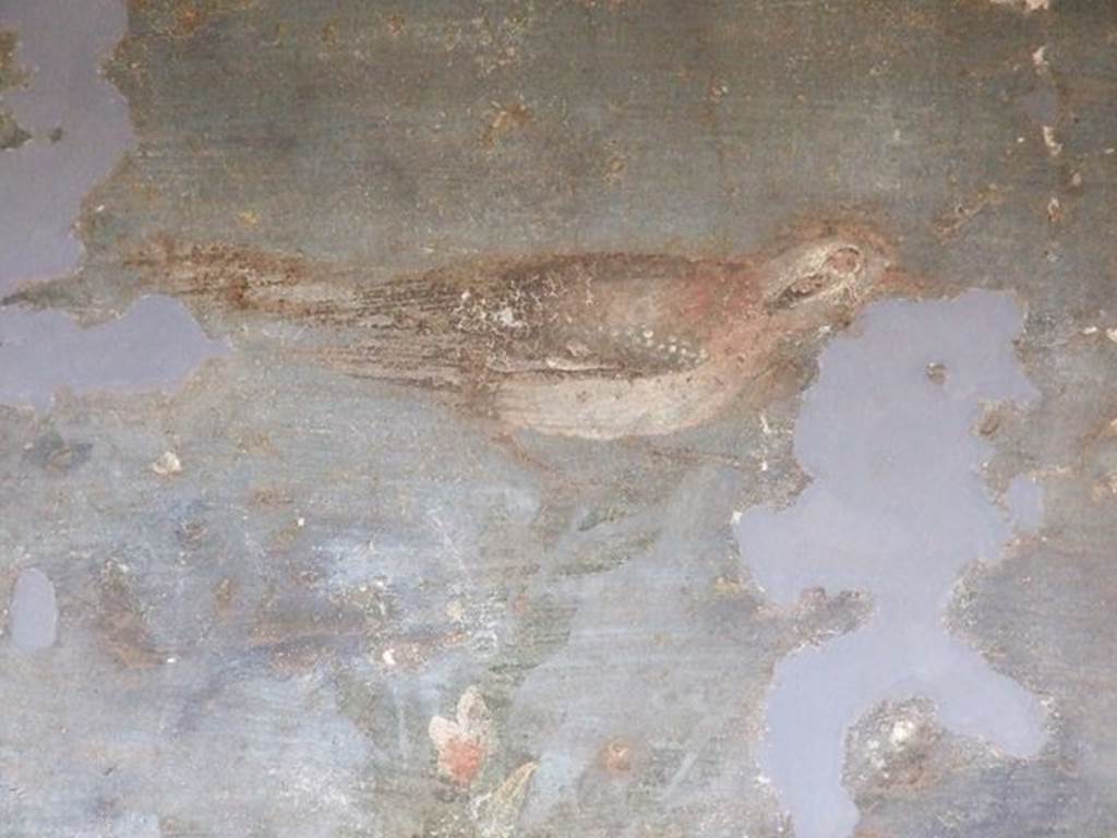 II.3.3 Pompeii. December 2006. Room 11, west panel of south wall of peristyle. Detail of wall painting of a bird.