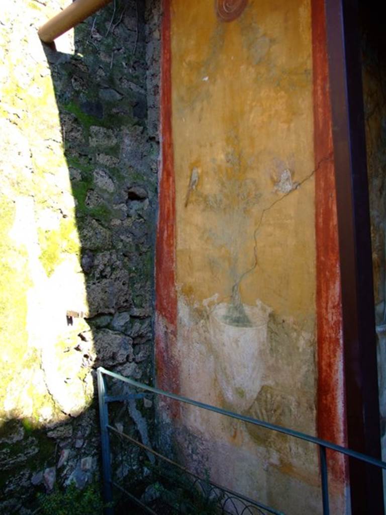 II.3.3 Pompeii. March 2009. Room 17, North side of Room 17 in garden.