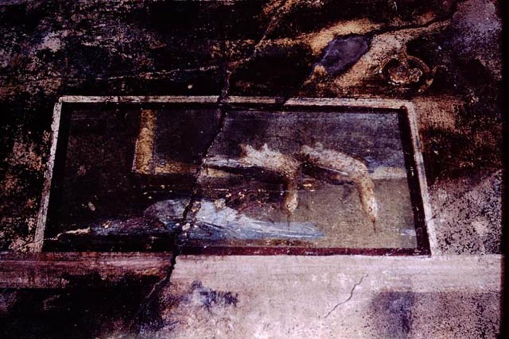 II.3.3 Pompeii. 1966. Room 6, painted panel from west wall of triclinium. Photo by Stanley A. Jashemski.
Source: The Wilhelmina and Stanley A. Jashemski archive in the University of Maryland Library, Special Collections (See collection page) and made available under the Creative Commons Attribution-Non Commercial License v.4. See Licence and use details. J66f0638