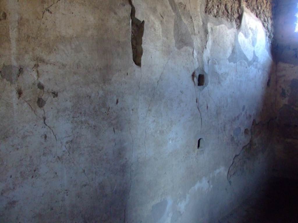 II.3.3 Pompeii. March 2009. Room 8, North wall.