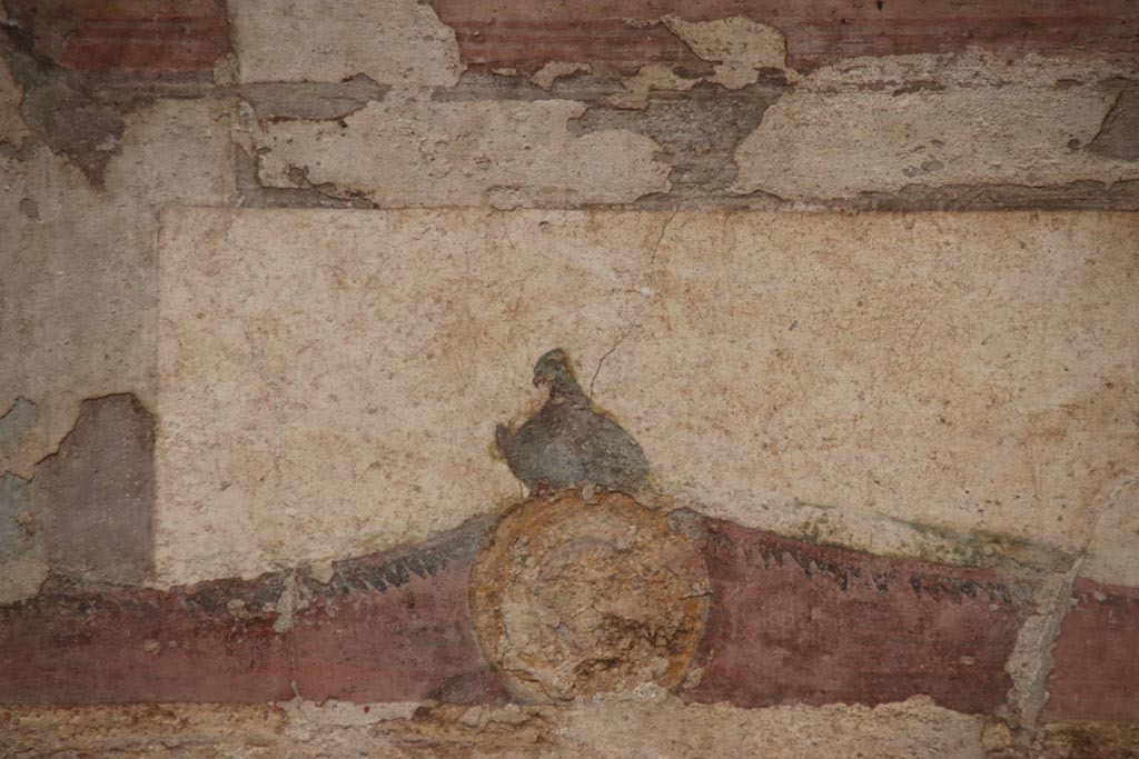 II.3.3 Pompeii. October 2023. Room 10, detail of painted bird from upper centre of south wall. Photo courtesy of Klaus Heese